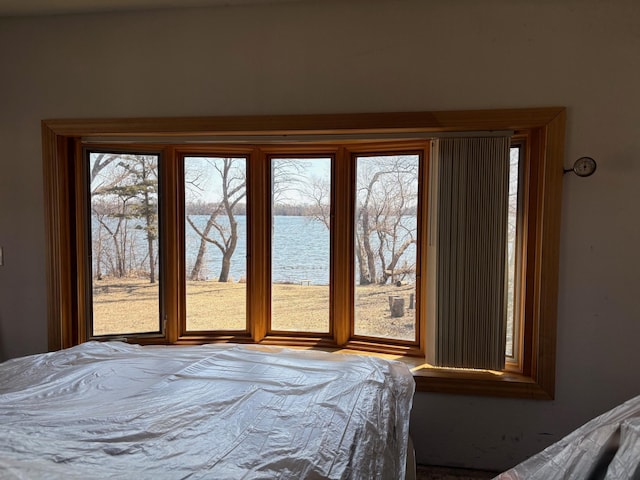 bedroom featuring a water view