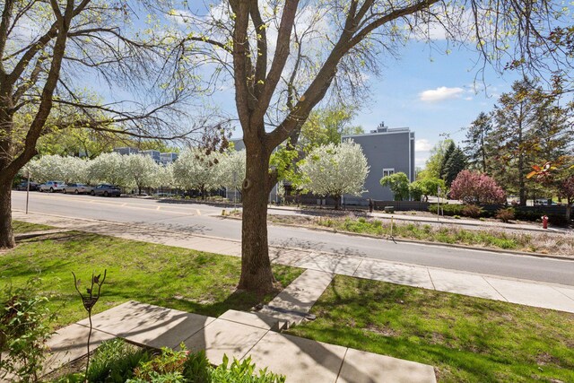 view of asphalt street featuring sidewalks and curbs