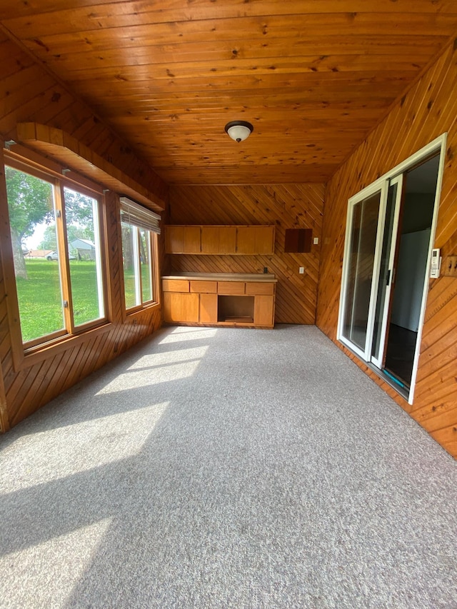 104 3rd St, Buffalo Lake, MN 55314 - unfurnished living room with lofted ceiling, wood walls, carpet, and wood ceiling