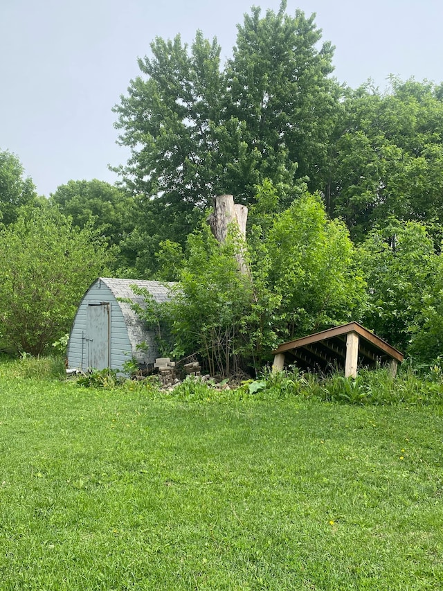 104 3rd St, Buffalo Lake, MN 55314 - view of green lawn