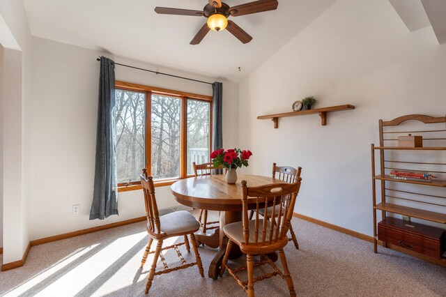 341 Spates Ave, Red Wing, MN 55066 - photo 13