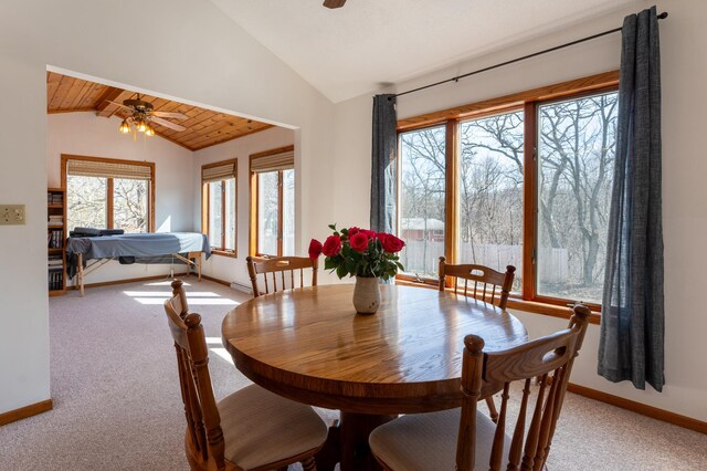341 Spates Ave, Red Wing, MN 55066 - photo 14