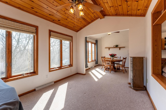 341 Spates Ave, Red Wing, MN 55066 - photo 16