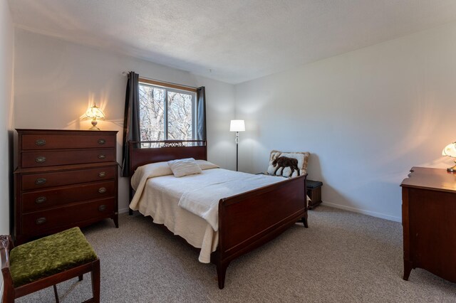 341 Spates Ave, Red Wing, MN 55066 - photo 24