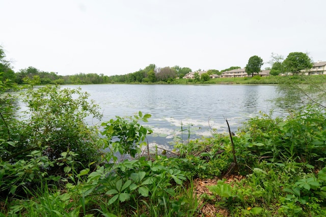 5425 Orleans Ln N Unit 6, Plymouth, MN 55442 - photo 4