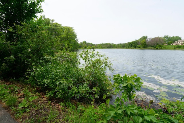 5425 Orleans Ln N Unit 6, Plymouth, MN 55442 - photo 6