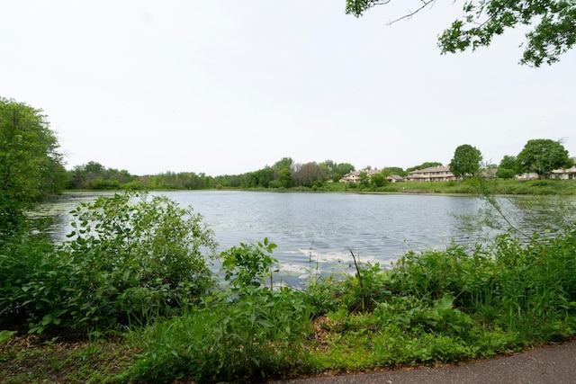 5425 Orleans Ln N Unit 6, Plymouth, MN 55442 - photo 9