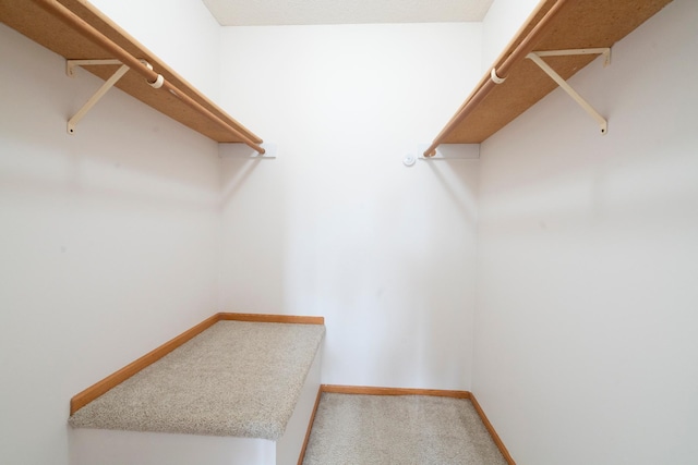 5425 Orleans Ln N Unit 6, Plymouth, MN 55442 - photo 29