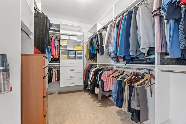 222 Ridgewood Ave, Minneapolis, MN 55403 - spacious closet featuring carpet flooring