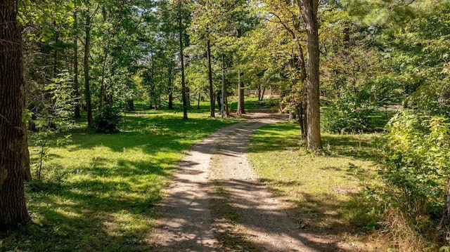 view of dirt / gravel road featuring a view of trees