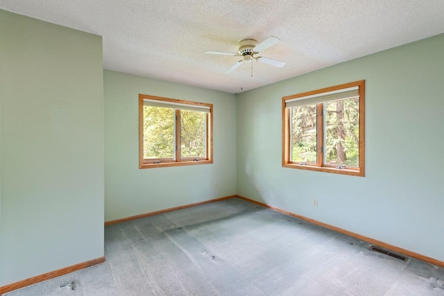 8100 Irvine Ave NW, Annandale, MN 55302 - photo 7