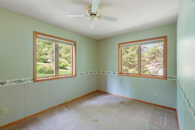 8100 Irvine Ave NW, Annandale, MN 55302 - photo 9