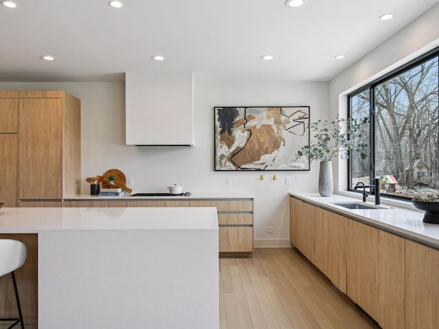 251 Glenbrook Rd N, Wayzata, MN 55391 - kitchen featuring a sink, modern cabinets, light wood-type flooring, recessed lighting, and light countertops