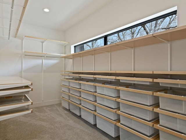 251 Glenbrook Rd N, Wayzata, MN 55391 - walk in closet featuring carpet flooring