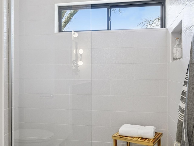 251 Glenbrook Rd N, Wayzata, MN 55391 - full bath featuring a walk in shower
