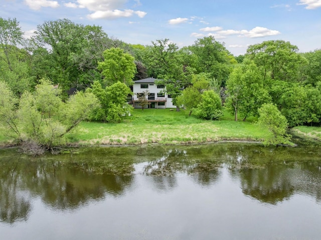 251 Glenbrook Rd N, Wayzata, MN 55391 - water view with a forest