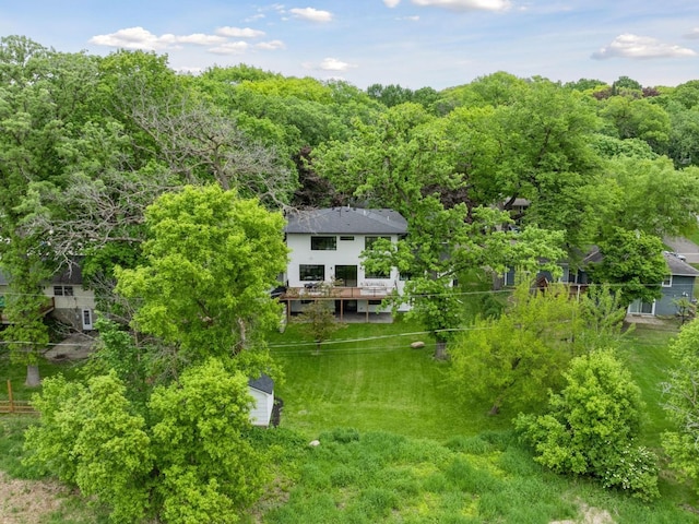 251 Glenbrook Rd N, Wayzata, MN 55391 - view of subject property featuring a forest