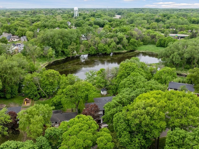 251 Glenbrook Rd N, Wayzata, MN 55391 - aerial view of a nearby body of water and a forest