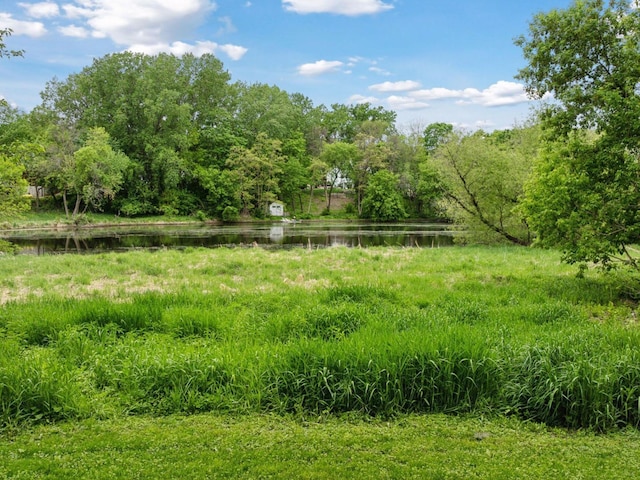 251 Glenbrook Rd N, Wayzata, MN 55391 - view of yard with a water view