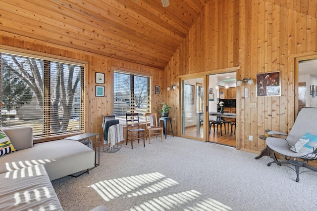 1001 Gramsey Pl, Burnsville, MN 55306 - living area featuring wood walls, high vaulted ceiling, and carpet