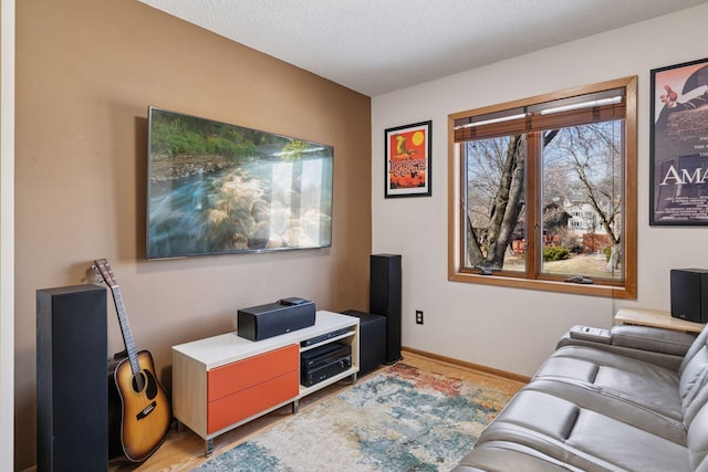 1001 Gramsey Pl, Burnsville, MN 55306 - living room featuring wood finished floors and baseboards