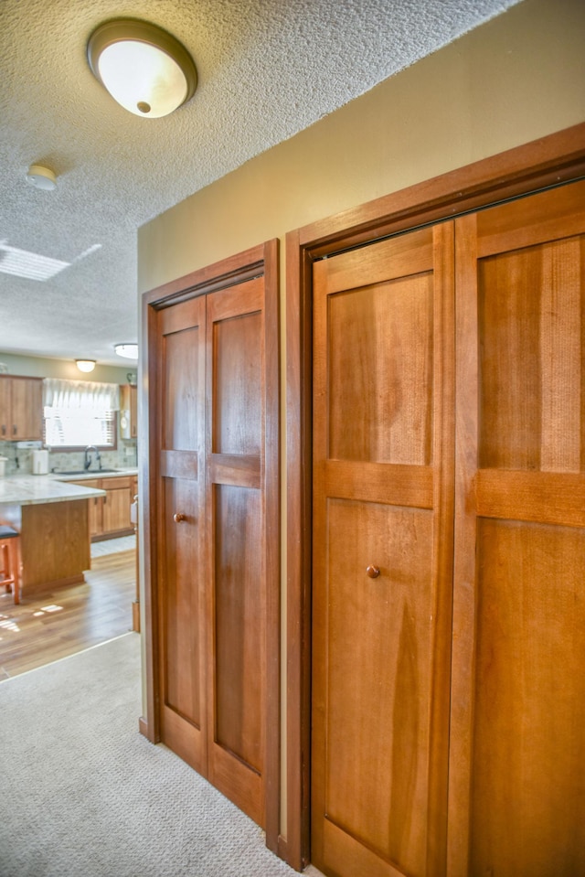 interior space with carpet flooring and a textured ceiling