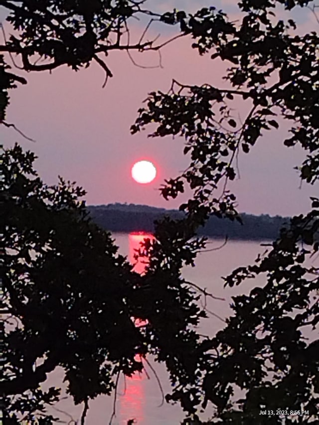view of nature