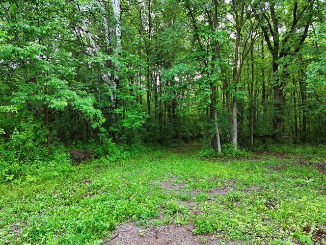 11350 Gem St, Milaca, MN 56353 - photo 48