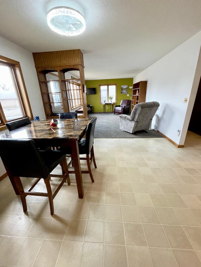 dining area featuring a textured ceiling, baseboards, and a healthy amount of sunlight