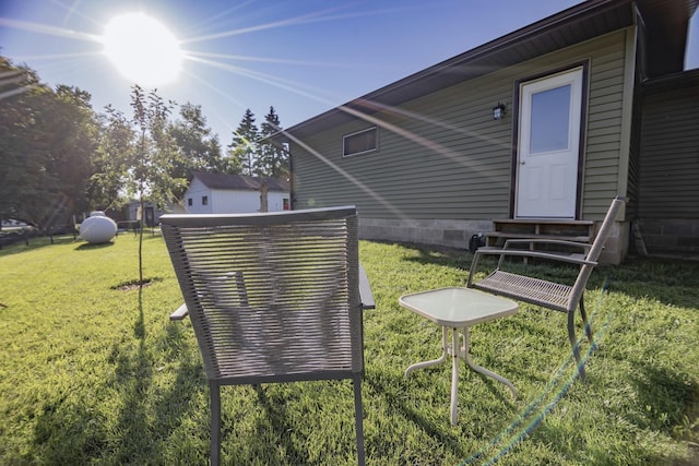 123 3rd St, Bluffton, MN 56518 - view of grassy yard with entry steps