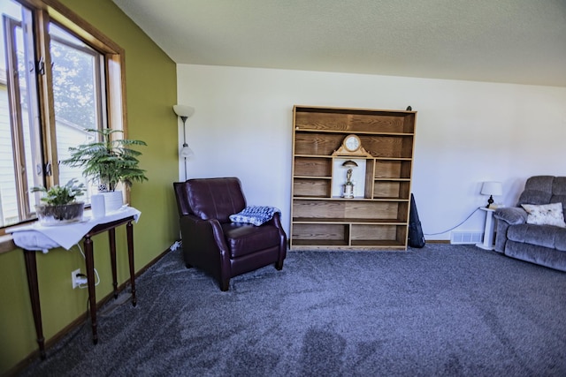 123 3rd St, Bluffton, MN 56518 - sitting room with carpet flooring and baseboards