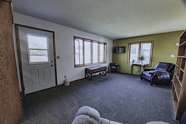 123 3rd St, Bluffton, MN 56518 - carpeted foyer entrance with a textured ceiling