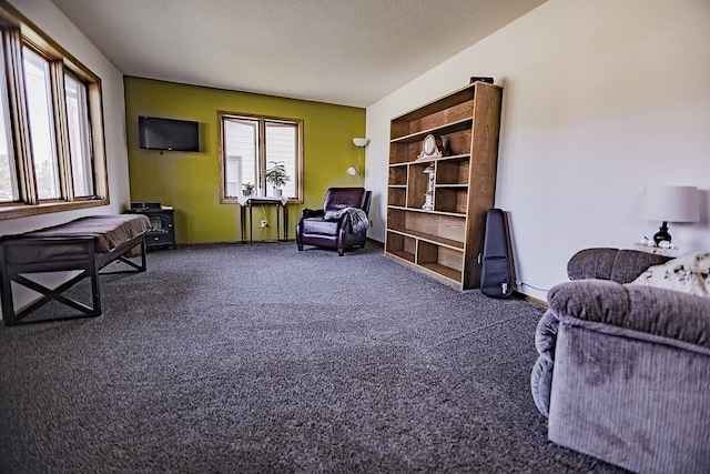 123 3rd St, Bluffton, MN 56518 - sitting room featuring carpet flooring and a textured ceiling