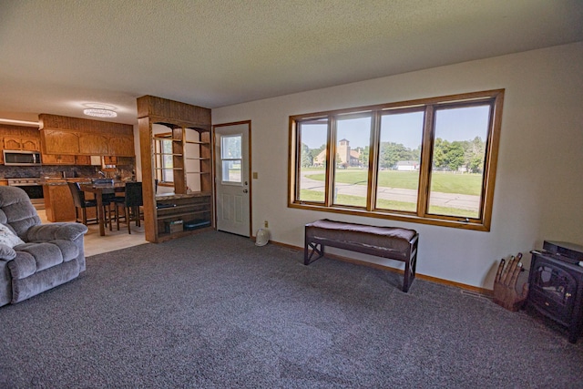 123 3rd St, Bluffton, MN 56518 - living area with a wood stove, light colored carpet, and a textured ceiling