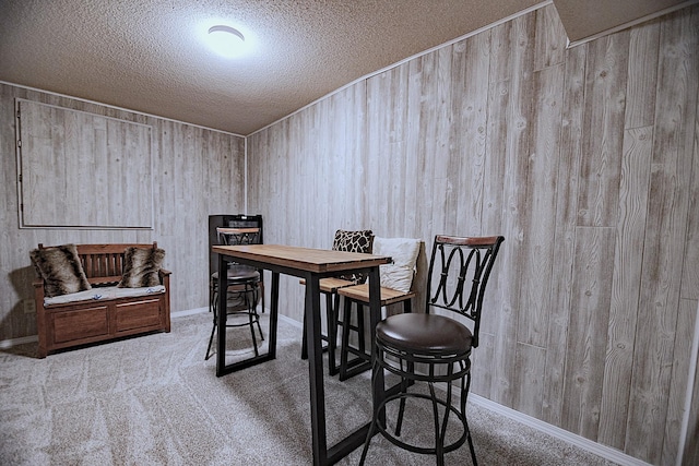123 3rd St, Bluffton, MN 56518 - carpeted dining room featuring a textured ceiling and wooden walls