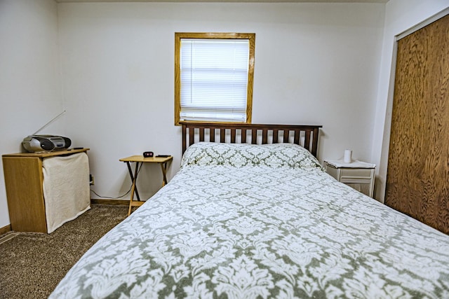 123 3rd St, Bluffton, MN 56518 - bedroom featuring carpet floors and a closet