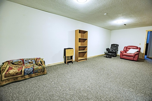 123 3rd St, Bluffton, MN 56518 - living area with carpet and a textured ceiling