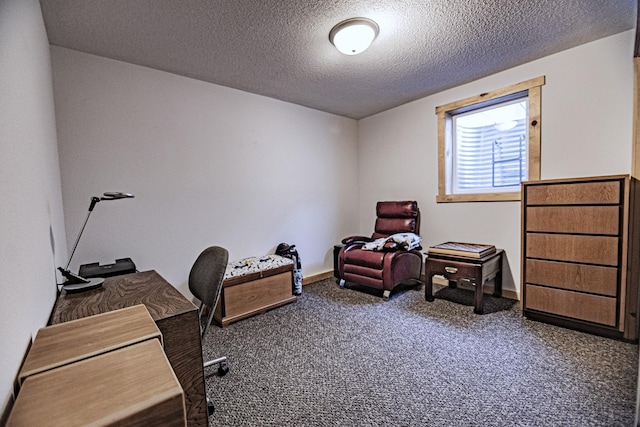 123 3rd St, Bluffton, MN 56518 - office with carpet and a textured ceiling