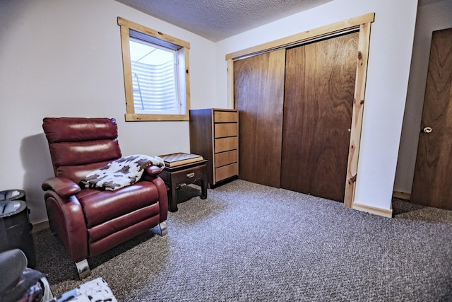123 3rd St, Bluffton, MN 56518 - living area with carpet and a textured ceiling