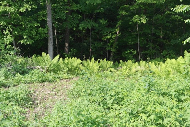 N4568 County Rd N, Frankfort Twp, WI 54721 - photo 7