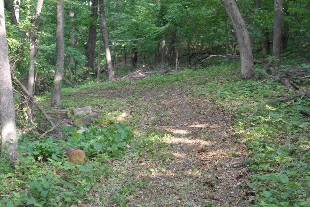 N4568 County Rd N, Frankfort Twp, WI 54721 - photo 11