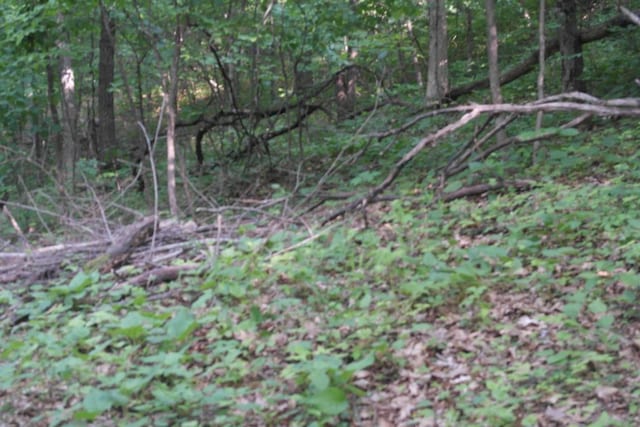 N4568 County Rd N, Frankfort Twp, WI 54721 - photo 12