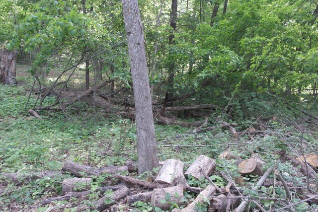 N4568 County Rd N, Frankfort Twp, WI 54721 - photo 20