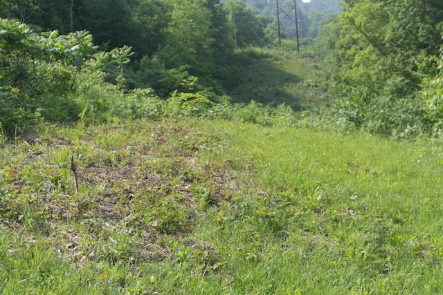N4568 County Rd N, Frankfort Twp, WI 54721 - photo 4