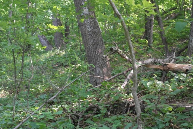 N4568 County Rd N, Frankfort Twp, WI 54721 - photo 9