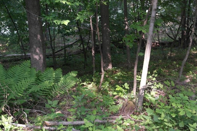 N4568 County Rd N, Frankfort Twp, WI 54721 - photo 10