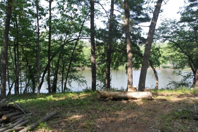 N4568 County Rd N, Frankfort Twp, WI 54721 - photo 16