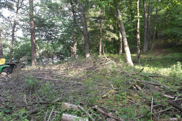 N4568 County Rd N, Frankfort Twp, WI 54721 - photo 17