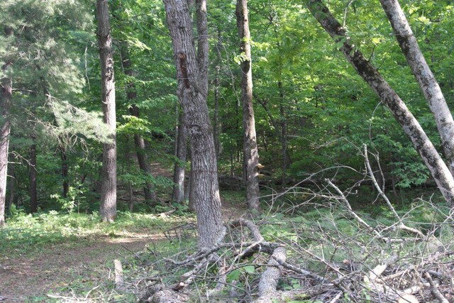 N4568 County Rd N, Frankfort Twp, WI 54721 - photo 32