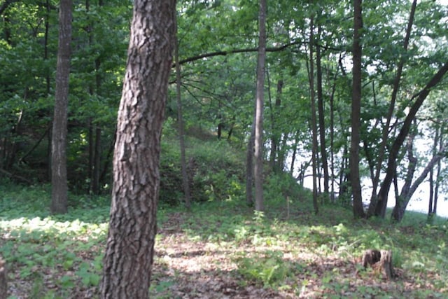 N4568 County Rd N, Frankfort Twp, WI 54721 - photo 33